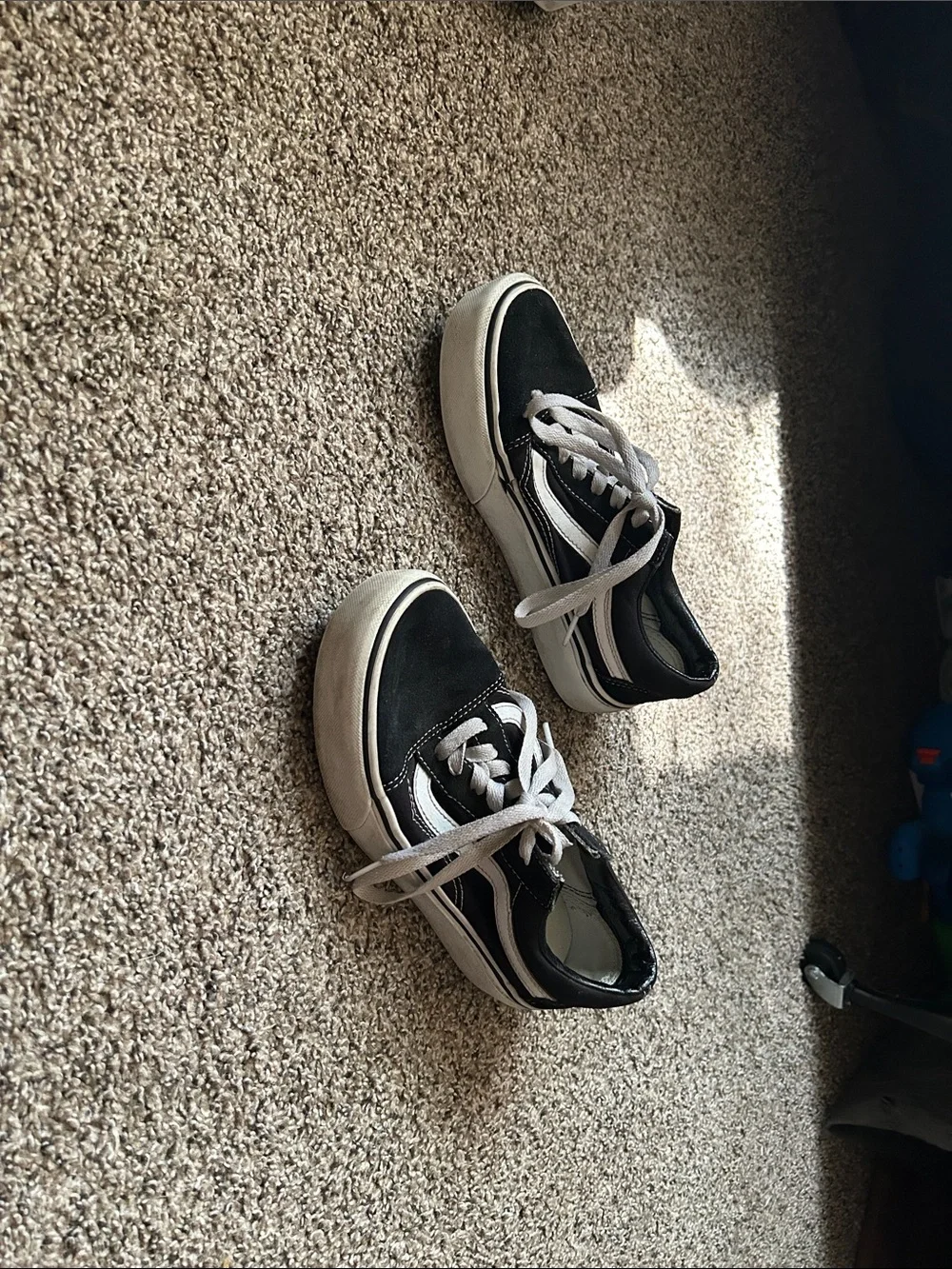 Vans Black and White Low-Top Skate Sneakers